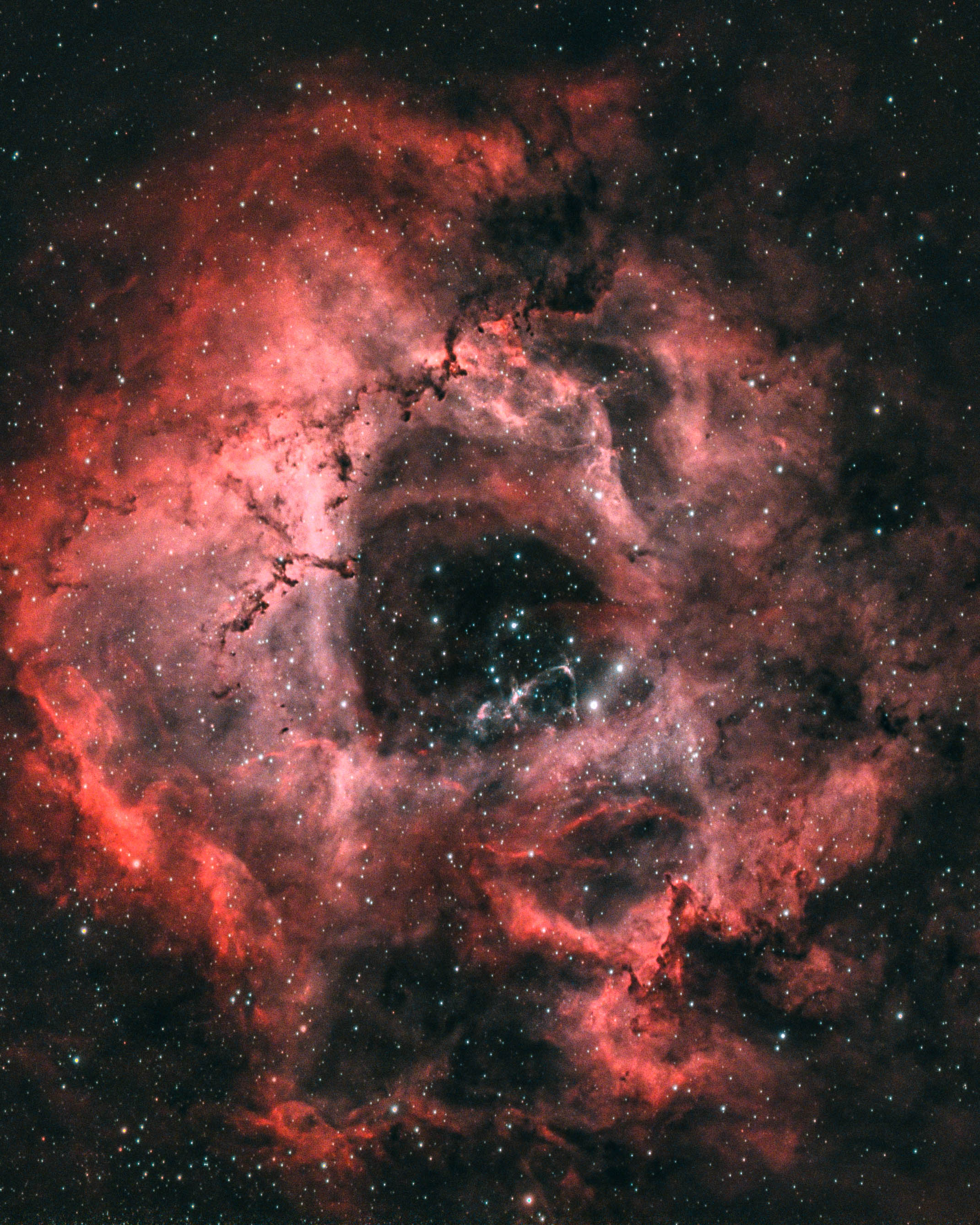 {"shape": [2874, 2641, 3]}